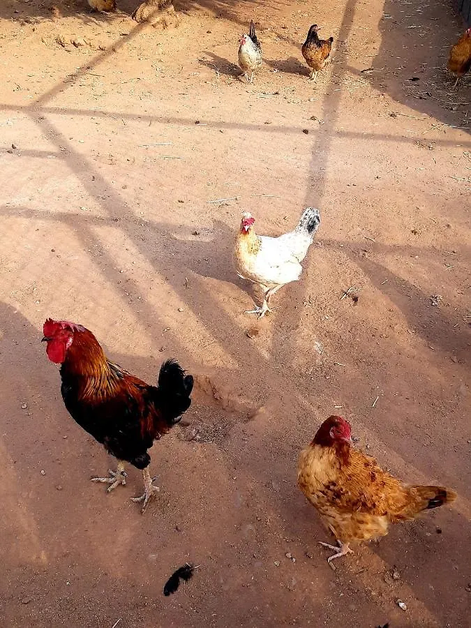 The Farm Hotel Marrakesh Morocco