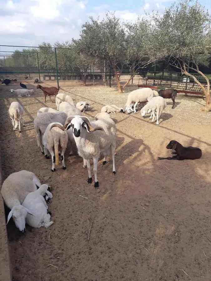 The Farm Hotel Marrakesh